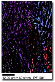 Microtextural Characterization of Variant Selection of Orientation Imaging Microscopy (OIM™) in a Bainitic Steel Containing Retained Austenite